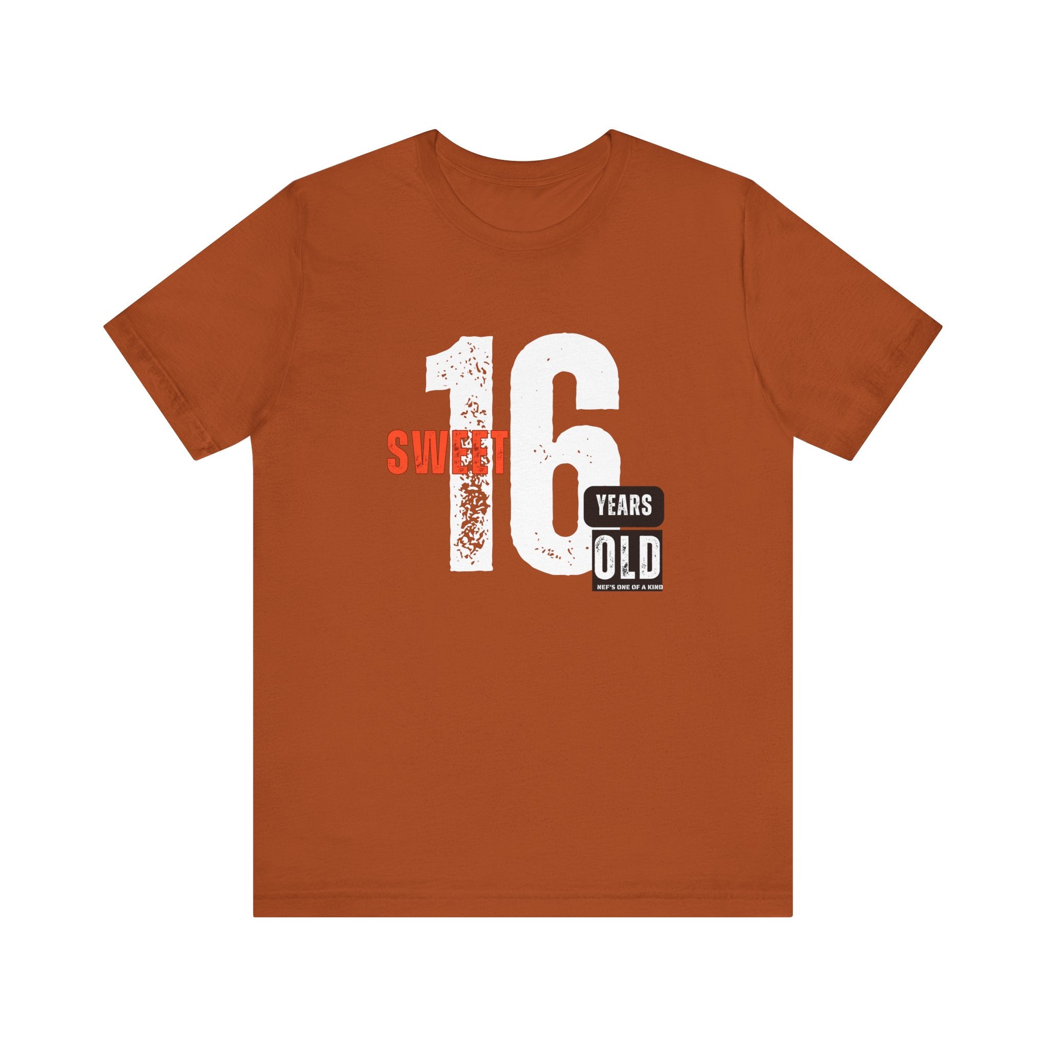 16year Old Unisex Adult Tee